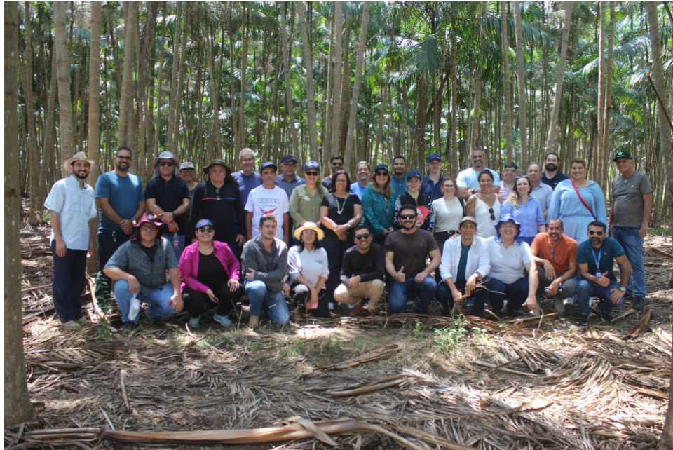 CCEAGRO reforça papel da Agronomia em agenda sustentável do Brasil