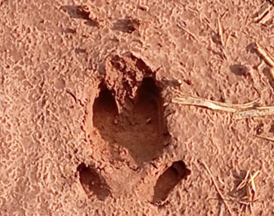 anotacao_2025-08-04_171209.jpg