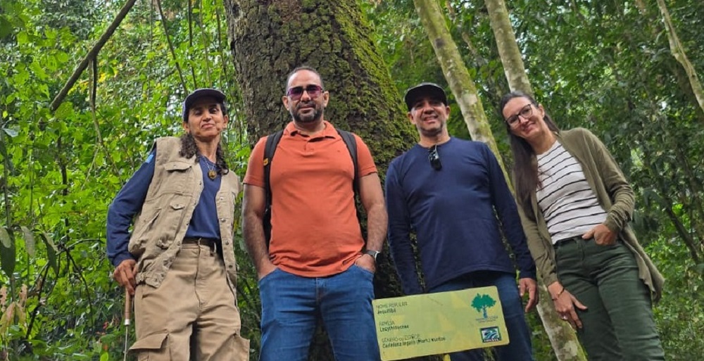 florestal