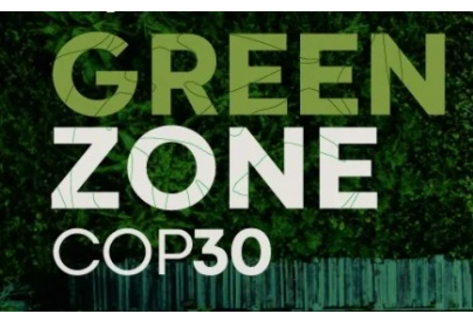Confea e Crea-PA levam soluções técnicas para a COP 30