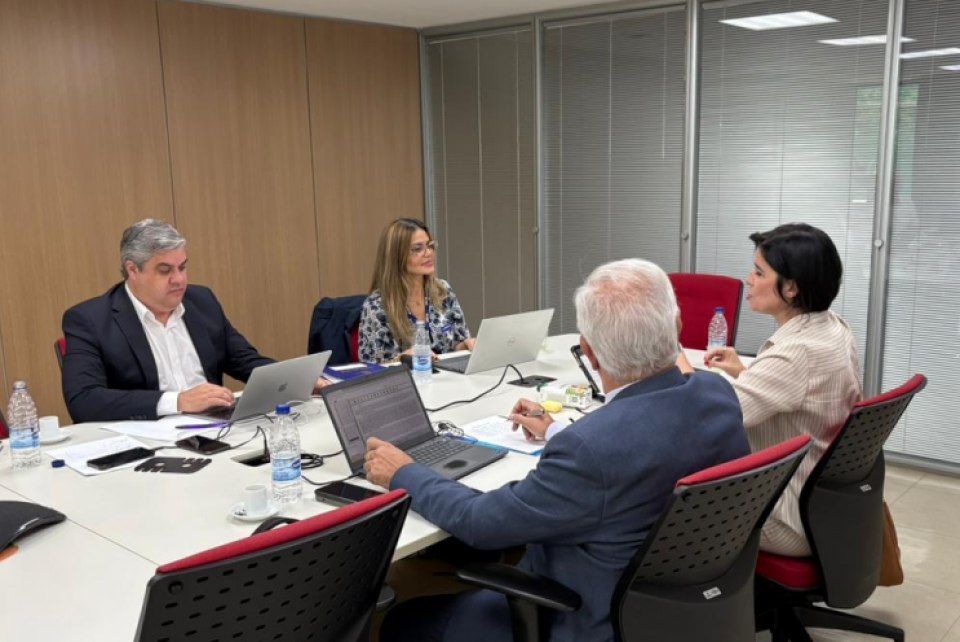 CREA-RS participa de reunião da CCSS para alinhamento de governança e sustentabilidade do Sistema