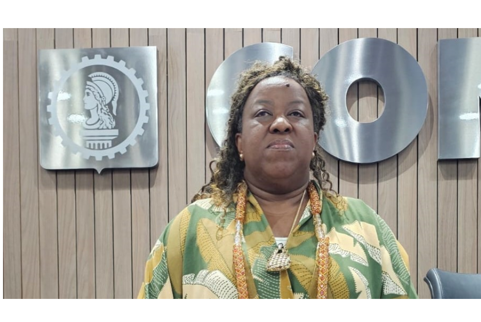 Confea sedia cerimônia do Conade com presença da ministra Macaé