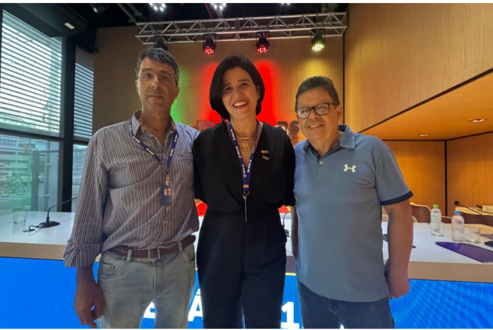 Plenário elege os vice-presidentes para o mandato 2026