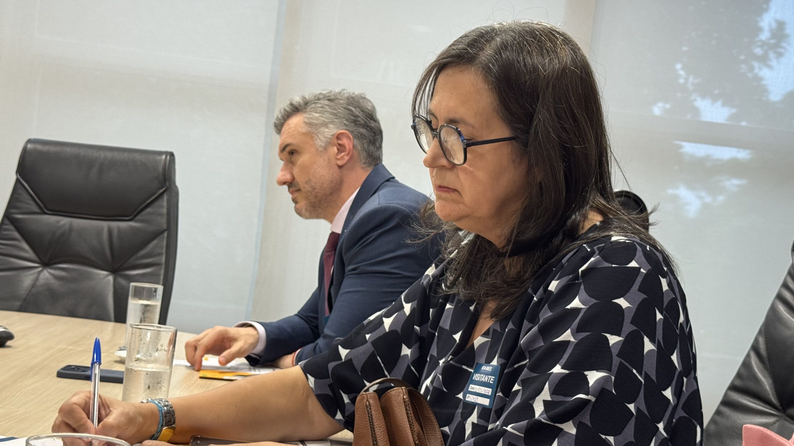aneel-3.jpg