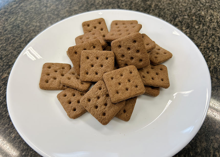 biscoito-insetos.jpg