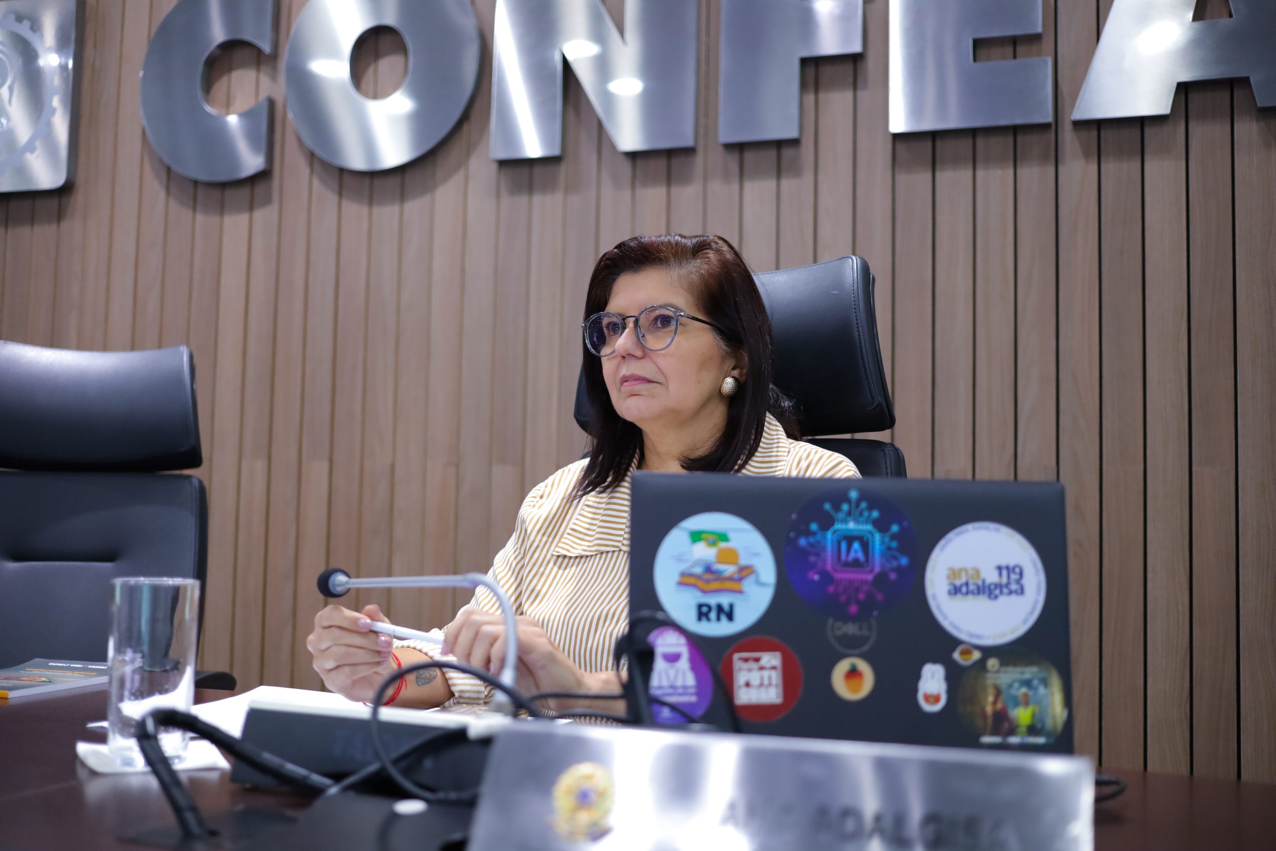 plena1740_ana.jpg