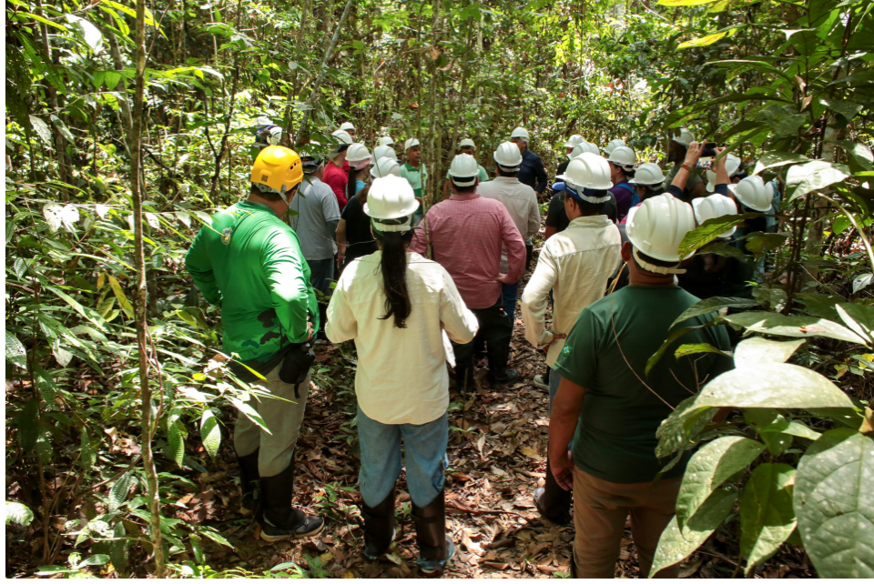 CCEEF define estratégias para ampliar atuação da engenharia florestal